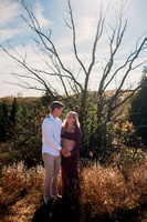 Celina and Ben Maternity Adventure Glen Haven MI